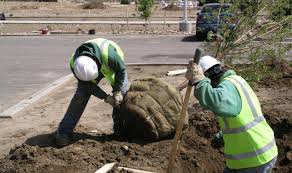 Colorado department of regulatory agencies division of professions and occupations 1560 broadway, suite 1350, denver, co 80202. Commercial Landscape Construction Maintenance