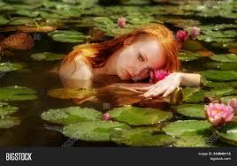 If you have any of your favorite roblox music codes then do let us know through comment box. Delicate Young Sexy Image Photo Free Trial Bigstock