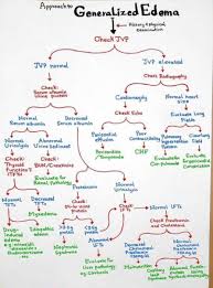 Image result for Edema Exam