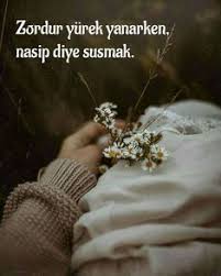 Nasip olur amasya'ya varırsan giden sail selam getir pirimden hublar şahı hamdullah'ı görürsen giden sail selam getir nasip olur amasya'ya varırsan sözleri, akormerkezi.com'da yayınlanmıştır. Nasip Kismet Sozleri Sozlermer