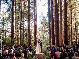 Forest Wedding Venues Redwood Forest Wedding Venues Northern California Forest Wedding Venue Redwood Forest Wedding Wedding Locations California