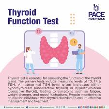 Image result for Thyroid Function Test