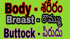 Don't forget to bookmark women body names using ctrl + d (pc) or command + d (macos). Humanbodypartsnames Humanbod Parts Of Human Body In Telugu Human Body Parts Names In Telugu 2020 Youtube