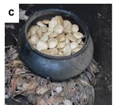 Image result for Telfairia pedata