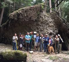 Great cooking techniques don't have to involve french. Friends Of Cook Forest Work To Revitalize Historic Park Trail News Thecourierexpress Com