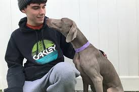 When do you want a job? Pet Care Employment Opportunities Finger Lakes Pet Resort
