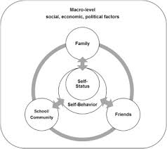 Comprehensive Understanding Of Risk And Protective Factors Related To Adolescent Pregnancy In Low And Middle Income Countries A Systematic Review Sciencedirect