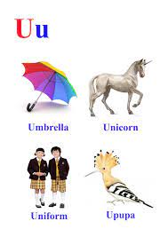 The big dictionaries strive to compile every word that can be found so there is a complete record of a language. U Letter Words Kidseasylearn