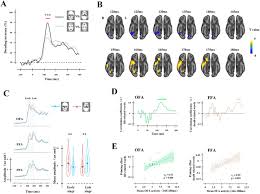 Herman's home team® vinyl windows are energy efficient, meeting building code and energy star requirements, and can be custom designed. Behavioral And Neural Decomposition Of Skull Induced Death Awareness Biorxiv