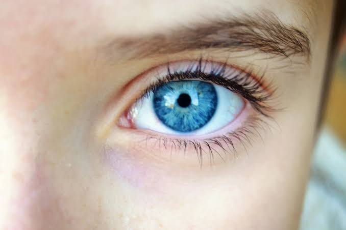 Study finds that every blue eyed person on Earth is a descendant of one  single person