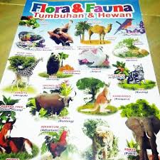 Maybe you would like to learn more about one of these? Poster Flora Dan Fauna Shopee Indonesia