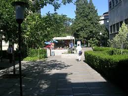 16,829 likes · 9 talking about this · 72,826 were here. Facultad De Medicina De La Universidad De Chile Wikipedia La Enciclopedia Libre