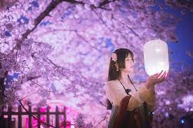 东风夜放花千树 cosplay concert