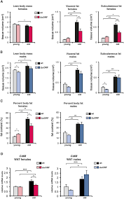 Este servicio gratuito de google traduce instantáneamente palabras, frases y páginas web del español a más de 100 idiomas y viceversa. Reduced Expression Of C Ebpb Lip Extends Health And Lifespan In Mice Elife