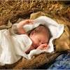 Setiap bayi berkembang dengan caranya sendiri di dalam … image detail for gambar natal bayi dalam palungan 1