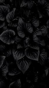 Right now we have 70+ background pictures, but the number of images is growing, so add the webpage to bookmarks and. Dark Flowers Wallpapers Wallpaper Cave
