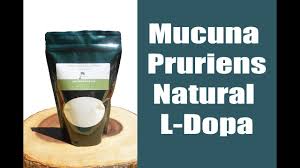 The genius brand has come forth with genius mushroom in which they have utilized the full potential of three different kinds of mushrooms. The Genius Brand Genius Mushroom Review Youtube