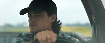 Nell'erba alta (2019): Ai confini dell'erbosità