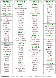 An Amateurs Guide To Crop Rotation Gardenfocused Co Uk