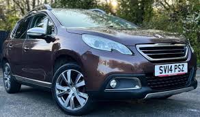 Image result for Brown Squirrel 2014 Peugeot
