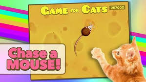 Android Ve Ios Icin Kedi Oyunlari Fare Yumak Lazer Yakalama