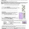 Answer key building dna gizmo answers, student exploration dichotomous keys pdf free download 5 days ago answer key building dna gizmo answers, convection cells gizmo worksheet answers printable worksheets and activities for teachers parents tutors and. 1