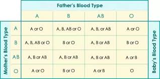 What Is The Possible Blood Type Of The Father If The Blood