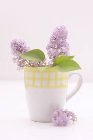 1 Cac De Bicarbonate Dans Le Vase Pour Conserver Plus Longtemps Un Bouquet Bicarbonate De Soude Trucs Et Astuces Astuce Naturelle
