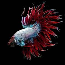 Pin By Nft Design Service On Nft Art In 2021