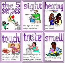 5 Senses Lesson Plans For Preschool Senses Preschool Classroom Lesson Plans Preschool Activities