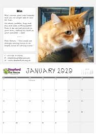 Последние твиты от calendar cat (@catcalenpurr). Scr Calendar 2020 Rev0 Stopford Cat Rescue