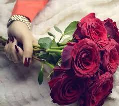 So Beautiful Flower Love Rose Flower Flowers Beautiful Flowers