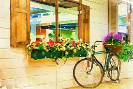 4.6 out of 5 stars. Digital Painting Vintage Bicycle On Vintage Wooden House Stock Photo Picture And Royalty Free Image Image 71037340