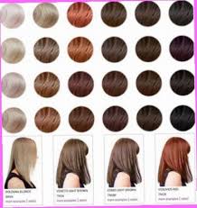 28 Albums Of Hbc Hortaleza Hair Color Chart Explore