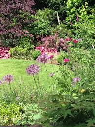 Pin On Elaine Bailey Garden Design
