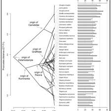 Breastaugmentation.com is a comprehensive resource for augmentation and implant information where you can find a surgeon and view before/after photos visit. Pdf Pushing The Boundary Testing The Functional Elongation Hypothesis Of Giraffe S Neck