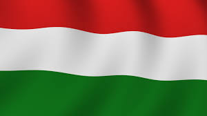 These hungary (hungarian) flags are the made to the highest standards in the usa. Best 50 Austria Hungary Wallpaper On Hipwallpaper Austria Hungary Wallpaper