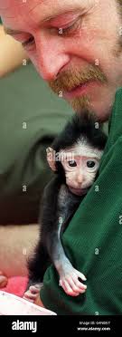 Keith lloyd hi-res stock photography and images