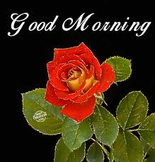 Https Encrypted Tbn0 Gstatic Com Images Q Tbn 3aand9gcshvixv6bj9cemxbjn8bcnyltxfwpwbqpvinq Usqp Cau