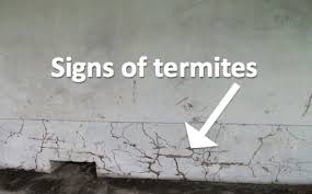 Termites are found throughout the united states (except in alaska), although the southeast and california have the heaviest infestations. 8 Best Termite Damage Ideas Termite Damage Termites Termite Infestation