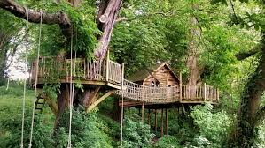 Kids love to climb up ropes, especially in a tree house. Treehouse Ideas 13 Adventurous Hideaways That Your Kids Will Love Gardeningetc