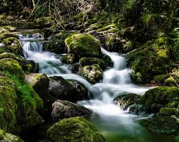 Las montañas anina situadas en el oeste de rumanía ocultan una verdadera maravilla natural en forma de cascada bigar. Cascada BigÄƒr Business Talks
