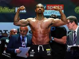Now promoter & manager to champions of the future. David Haye Themenseite