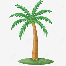 Coconut arecaceae tree, pohon kelapa tropis, ilustrasi empat pohon kelapa, pantai, lainnya png. Pohon Kelapa Kartun Png