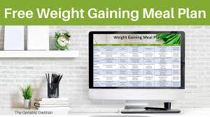 The good news is that you can't just gain 3kg of fat in 3 days. Free Weight Gaining Meal Plan The Geriatric Dietitian