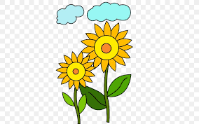 Common Sunflower Drawing Color For Kids Coloring Book Png 512x512px Common Sunflower Android App Store Artwork Free content, sunflower border s, sunflower, sunflower seed png.