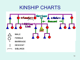 Kinship Chart Maker Sada Margarethaydon Com