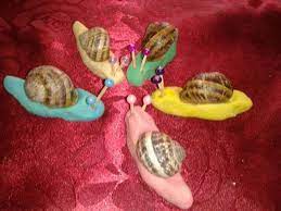 recyclage coquille d escargot artisanat jazzy jack o lantern coloriage