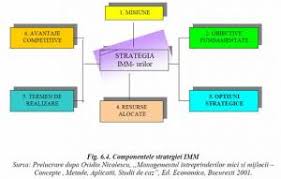 E foarte probabil ca unele intreprinderi mici si mijlocii sa nu urmeze toate etapele de mai sus sau sa includa in cadrul unui singur stadiu doua sau mai multe etape, dezvoltarea lor putand prezenta multe particularitati datorita influentei factorilor interni si externi. Intreprinderile Mici Si Mijlocii