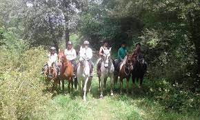 We did not find results for: El Club De La Herradura Home Facebook